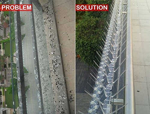SpikeZone - Bird Spikes - Pigeon Control Spikes (Bird Spikes 5 Pcs, Transparent)