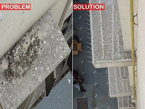 SpikeZone - Bird Spikes - Pigeon Control Spikes (Bird Spikes 5 Pcs, Transparent)