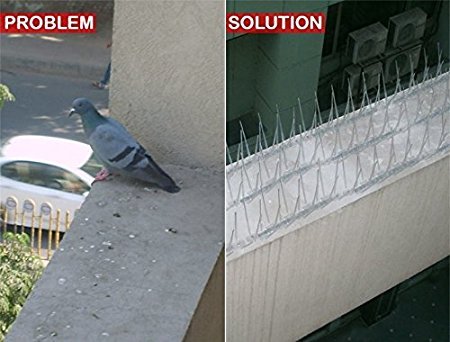 SpikeZone - Bird Spikes - Pigeon Control Spikes (Bird Spikes 5 Pcs, Transparent)