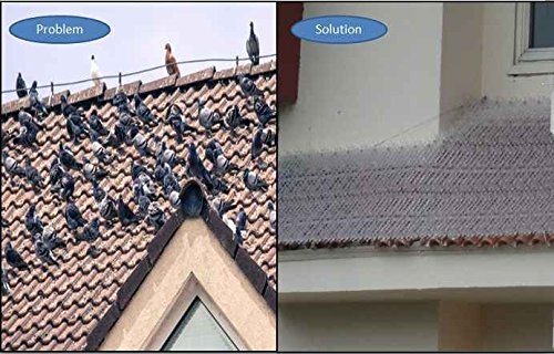 SpikeZone - Bird Spikes - Pigeon Control Spikes (Bird Spikes 5 Pcs, Transparent)