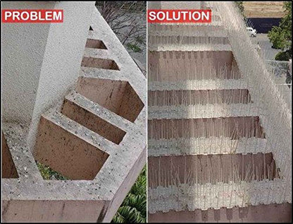 SpikeZone - Bird Spikes - Pigeon Control Spikes (Bird Spikes 5 Pcs, Transparent)