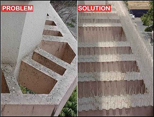 SpikeZone - Bird Spikes - Pigeon Control Spikes (Bird Spikes 5 Pcs, Transparent)