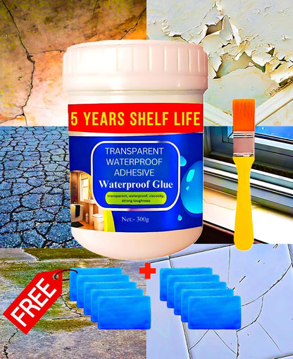 5 years Shelf Life | Acrylic Transparent Waterproof Glue for Roof Crack & Leakage Repair | Crack seal Glue 300g with Brush | Waterproofing Solution for leakage in rain | Non-toxic Environment friendly Pack of 2