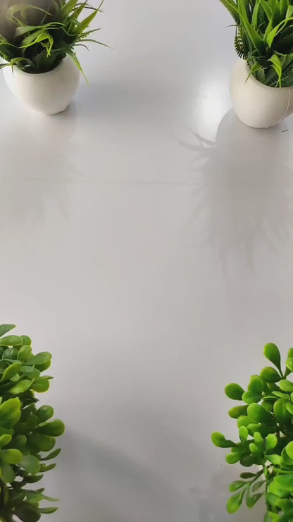 FEIHONG( Stay Smooth. Stay Confident ) Multi-Use Shaver – Safe for Women’s & Men’s All Body Areas, Wet and Dry Use & Low-Noise